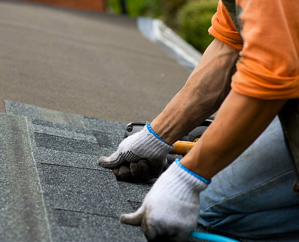 Best Roof Replacement Cost  in Lauderdale, MN
