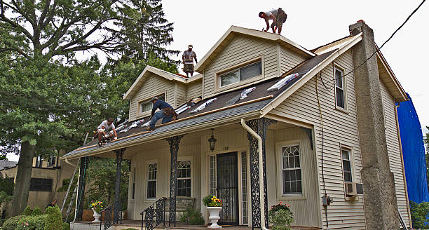 Best Roofing Contractors for Homes  in Lauderdale, MN