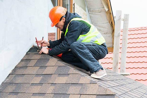 Best Flat Roof Repair Services  in Lauderdale, MN