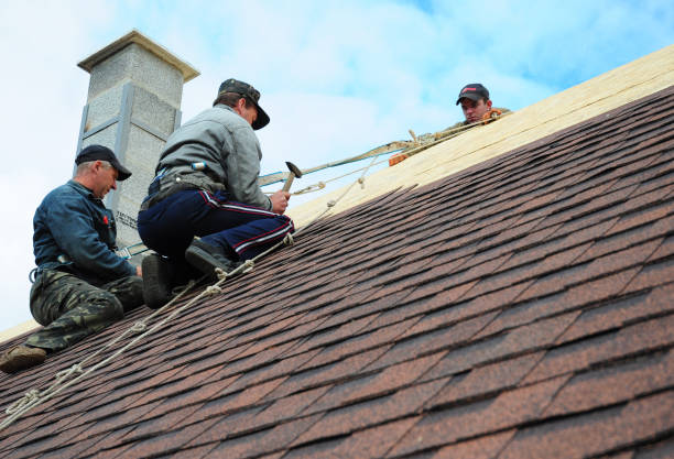Best Roof Gutter Cleaning  in Lauderdale, MN